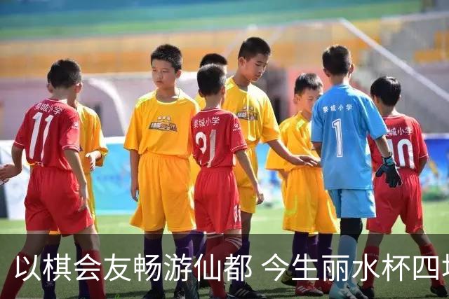 以棋会友畅游仙都 今生丽水杯四地围棋交流活动圆满落幕